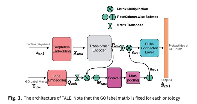 TALE architecture